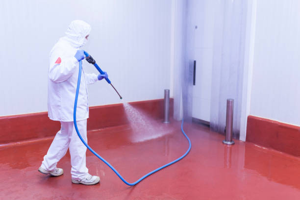Best House Exterior Washing  in Austell, GA